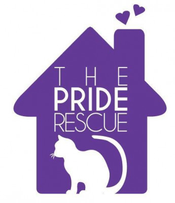 The Pride Rescue - Pet Shelter and Rescue in Hamilton, Ontario