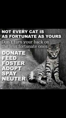 Pet Pride - Pet Shelter and Rescue in Fairbanks, Alaska