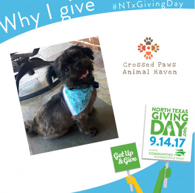 Crossed Paws Animal Haven - Pet Shelter and Rescue in McKinney, Texas