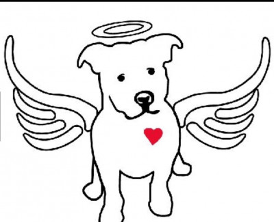 Sebring Angels - Pet Shelter and Rescue in Sebring, Florida