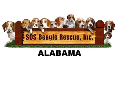 SOS Beagle Rescue-Alabama Chapter - Pet Shelter and Rescue in Gulf Shores, Alabama