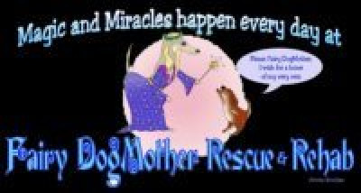 Fairy Dogmother Rescue, Inc. - Pet Shelter and Rescue in Baileyton, Alabama