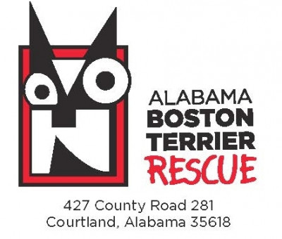 Alabama Boston Terrier Rescue - Pet Shelter and Rescue in Decatur, Alabama