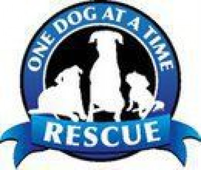 One Dog At A Time Rescue - Pet Shelter and Rescue in Warsaw, Indiana