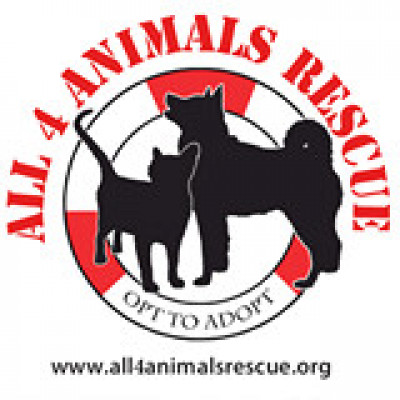 All 4 Animal Rescue - Pet Shelter and Rescue in Mishawaka, Indiana
