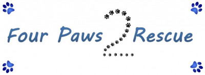 Four Paws 2 Rescue - Pet Shelter and Rescue in Battle Creek, Michigan