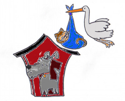 Little Orphans Animal Rescue - Pet Shelter and Rescue in Montello, Wisconsin