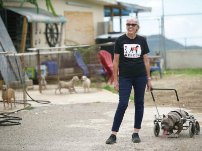 Second Chance Animal Rescue - Pet Shelter and Rescue