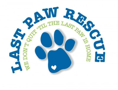 Last Paw Rescue - Pet Shelter and Rescue in Tomah, Wisconsin
