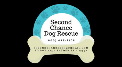 Second Chance Dog Rescue - Pet Shelter and Rescue in Snyder, Texas