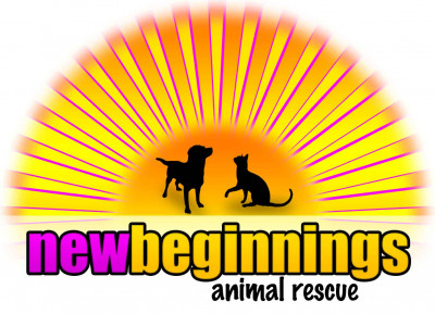 New Beginnings Animal Rescue - Pet Shelter and Rescue in San Angelo, Texas