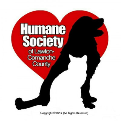 Pawsitive Options 4 Adoption Of Lawton-Comanche County Humane Society - Pet Shelter and Rescue in Lawton, Oklahoma