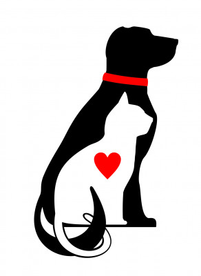 Stephens County Humane Society, OK - Pet Shelter and Rescue in Duncan, Oklahoma