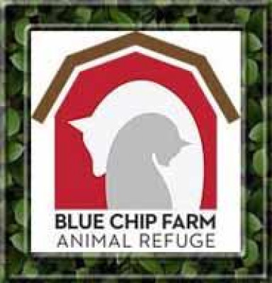 Blue Chip Farm - Pet Shelter and Rescue in Dallas, Pennsylvania