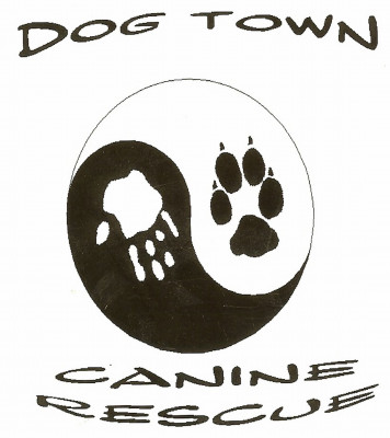 Dog Town Canine Rescue - Pet Shelter and Rescue in Carson City, Nevada
