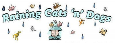 Raining Cats 