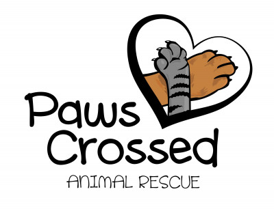 Paws Crossed Animal Rescue Inc. - Pet Shelter and Rescue in Elmsford, New York