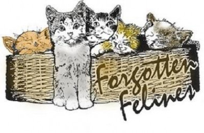 Forgotten Felines, Inc. - Pet Shelter and Rescue in Valhalla, New York