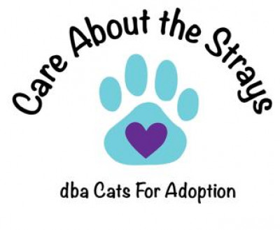 C.A.T.S. Dba Cats For Adoption - Pet Shelter and Rescue in Suffern, New York
