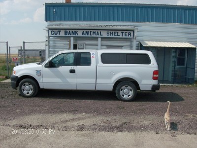 Cut Bank Animal Shelter - Pet Shelter and Rescue in Cut Bank, Montana