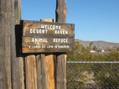 Desert Haven Animal Rescue - Pet Shelter and Rescue in Williamsburg, New Mexico
