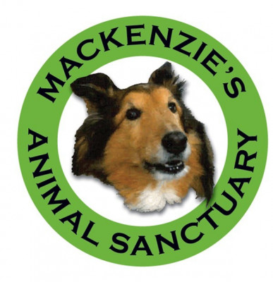 Mackenzies Animal Sanctuary - Pet Shelter and Rescue in Lake Odessa, Michigan
