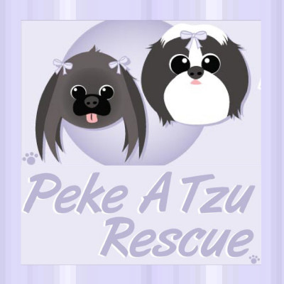 Peke A Tzu Rescue - Pet Shelter and Rescue in Trufant, Michigan