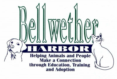 Bellwether Harbor - Pet Shelter and Rescue in Fremont, Michigan