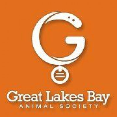 Great Lakes Bay Animal Society - Pet Shelter and Rescue in Midland, Michigan