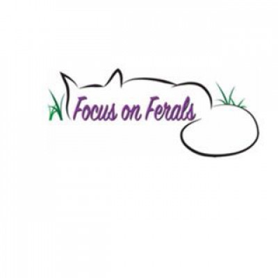 Focus On Ferals - Pet Shelter and Rescue in Byron Center, Michigan