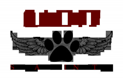 SAINT Rescue - Pet Shelter and Rescue in Cedar Rapids, Iowa