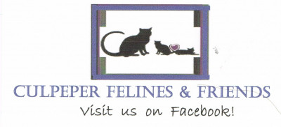 Culpeper Felines & Friends - Pet Shelter and Rescue in Culpeper, Virginia