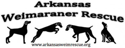 Arkansas Weimaraner Rescue - Pet Shelter and Rescue in Fayetteville, Arkansas