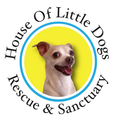 House Of Little Dogs, Inc. - Pet Shelter and Rescue in Fayetteville, Arkansas