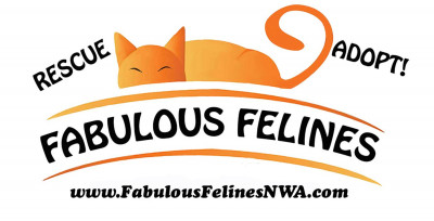 Fabulous Felines NWA - Pet Shelter and Rescue in Bentonville, Arkansas