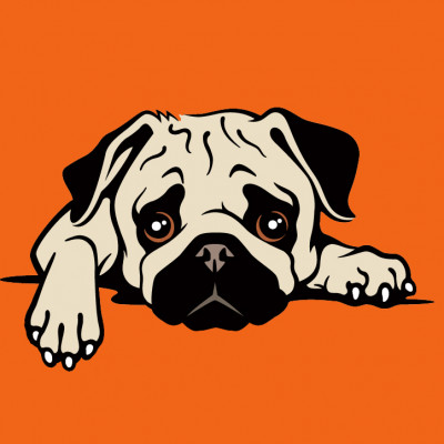 Ruff Patch Rescue - Pet Shelter and Rescue in West Jordan, Utah