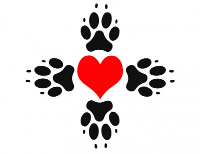 Four Paws Rescue - Pet Shelter and Rescue in Millville, Utah