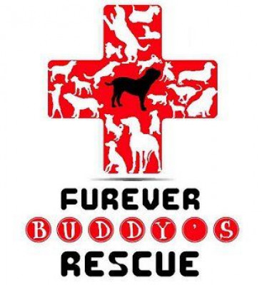Furever Buddys Dog Rescue - Pet Shelter and Rescue in Roosevelt, Utah