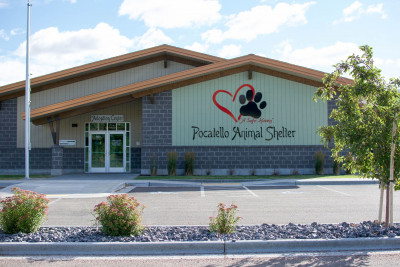 Pocatello Animal Shelter - Pet Shelter and Rescue in Pocatello, Idaho