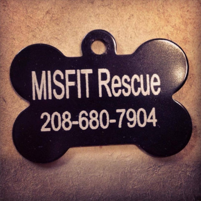 MISFIT Rescue - Pet Shelter and Rescue in Blackfoot, Idaho