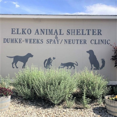 City Of Elko Animal Shelter - Pet Shelter and Rescue in Elko, Nevada
