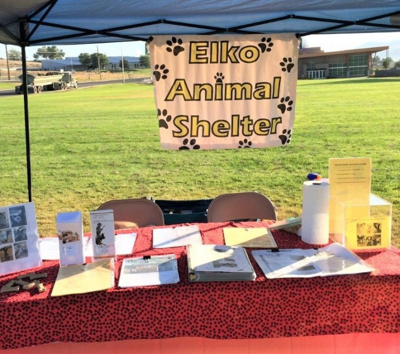 Elko Animal Shelter Photos
