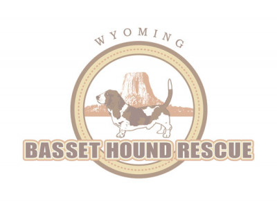 Wyoming Basset Hound Rescue - Pet Shelter and Rescue in Cody, Wyoming