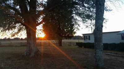 Soft Landings Rescue - Pet Shelter and Rescue in Pelzer, South Carolina