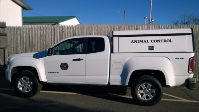 Ellington Animal Control - Pet Shelter and Rescue in Ellington, Connecticut
