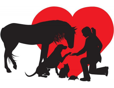 Halfway Home Rescue, Inc. - Pet Shelter and Rescue in North Haven, Connecticut