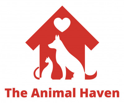 The Animal Haven Inc. - Pet Shelter and Rescue in North Haven, Connecticut
