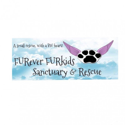 FURever FURkids Rescue - Pet Shelter and Rescue in Ooltewah, Tennessee