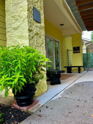 Dawson County Humane Society - Pet Shelter and Rescue in Dawsonville, Georgia