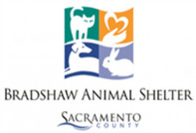 Sacramento County Animal Care Services - Pet Shelter and Rescue in Sacramento, California